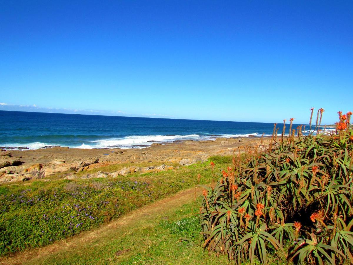 Mountjoy Guest Lodge Margate Dış mekan fotoğraf